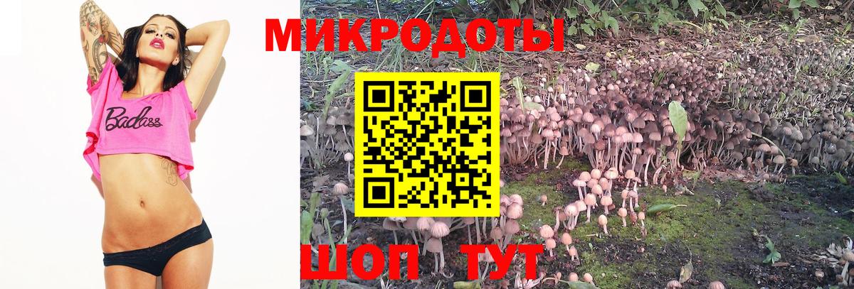 Псилоцибиновые грибы Magic Shrooms  Вход с VPN  Каменск-Шахтинский  Галлюциногенные грибы прущие грибы 