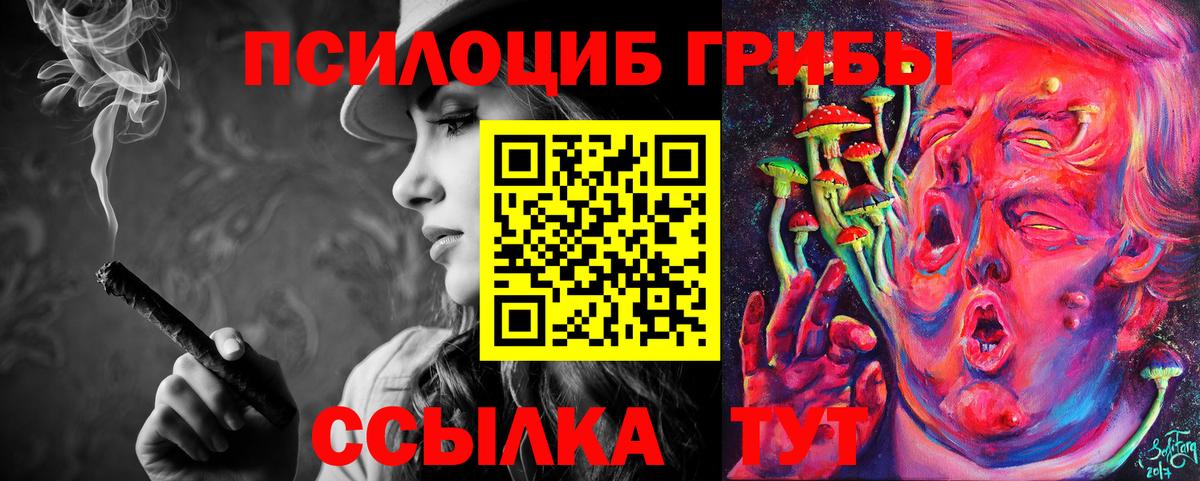 Галлюциногенные грибы Psilocybe Каменск-Шахтинский